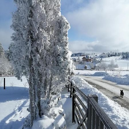 Tarin Zov Lägenhet Kaludjerske Bare Exteriör bild