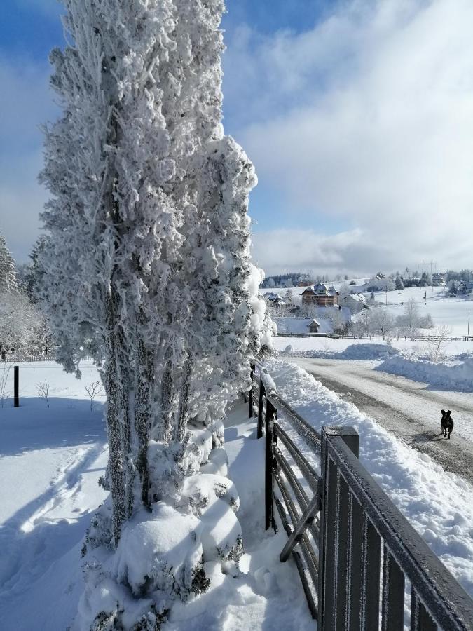 Tarin Zov Lägenhet Kaludjerske Bare Exteriör bild