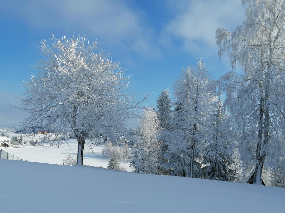 Tarin Zov Lägenhet Kaludjerske Bare Exteriör bild