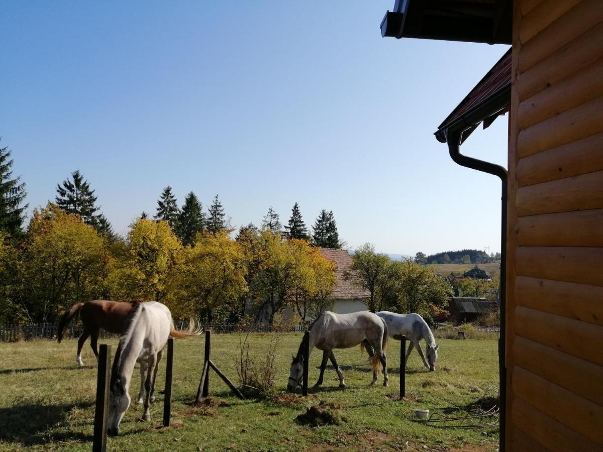 Tarin Zov Lägenhet Kaludjerske Bare Exteriör bild